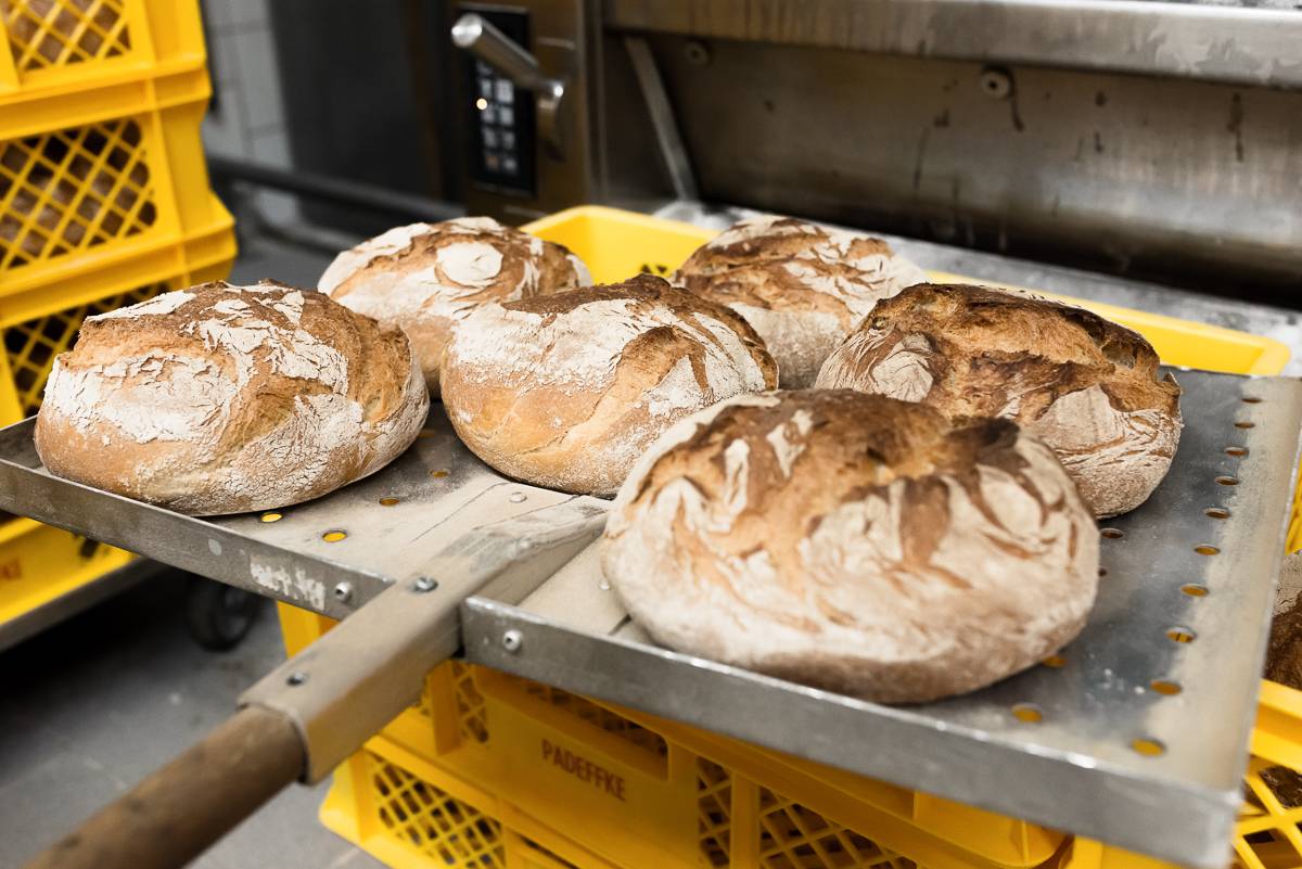 Frische Brotlaibe in der Bäckerei Padeffke